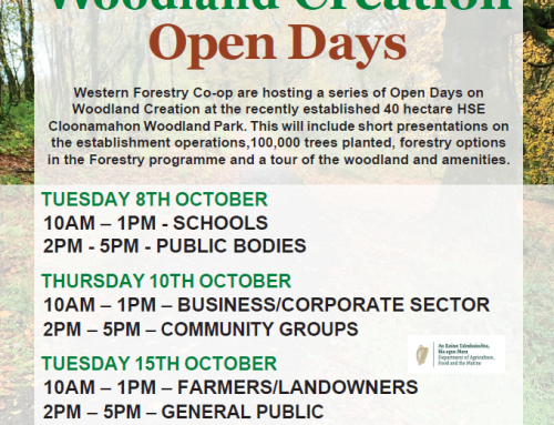 Woodland Creation Open Days