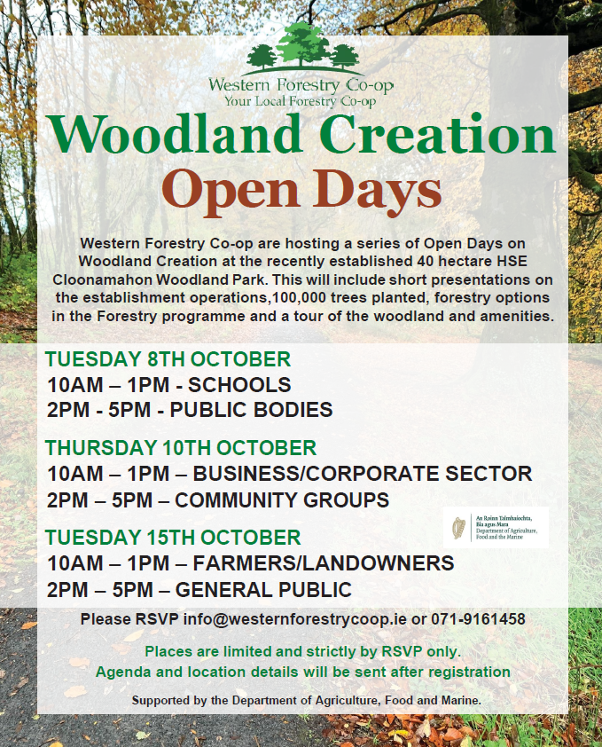 Woodland-Creation-Open-Day